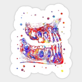 Children teeth Sticker